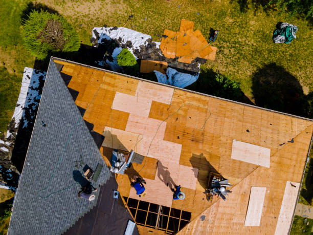 Best Roof Waterproofing Services  in Agua Fria, NM
